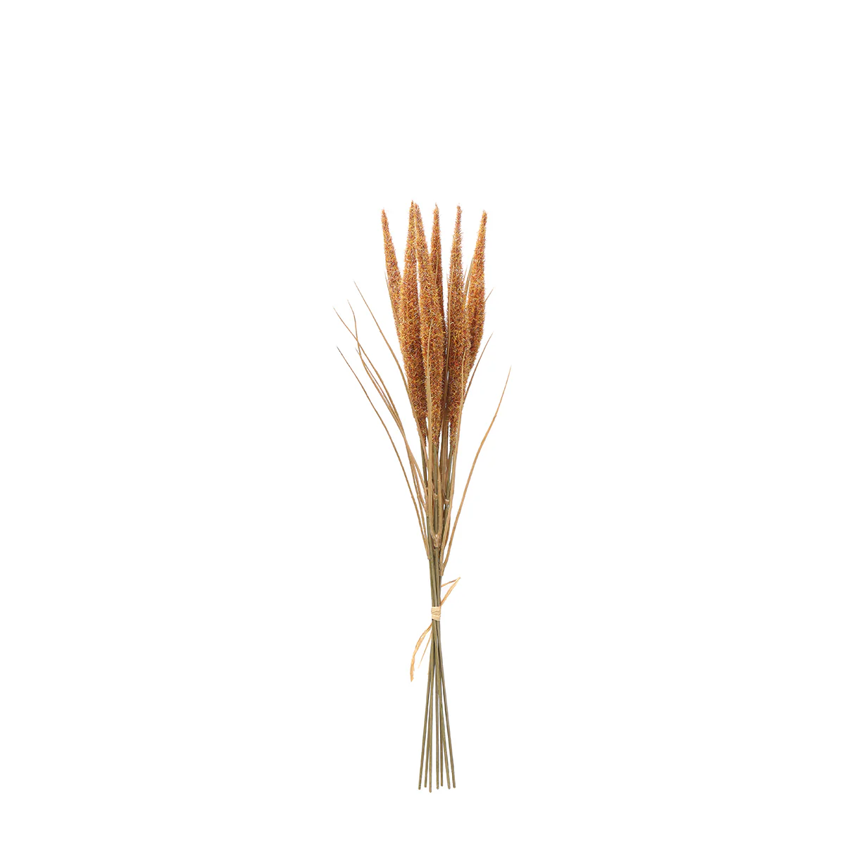 Image du produit 17