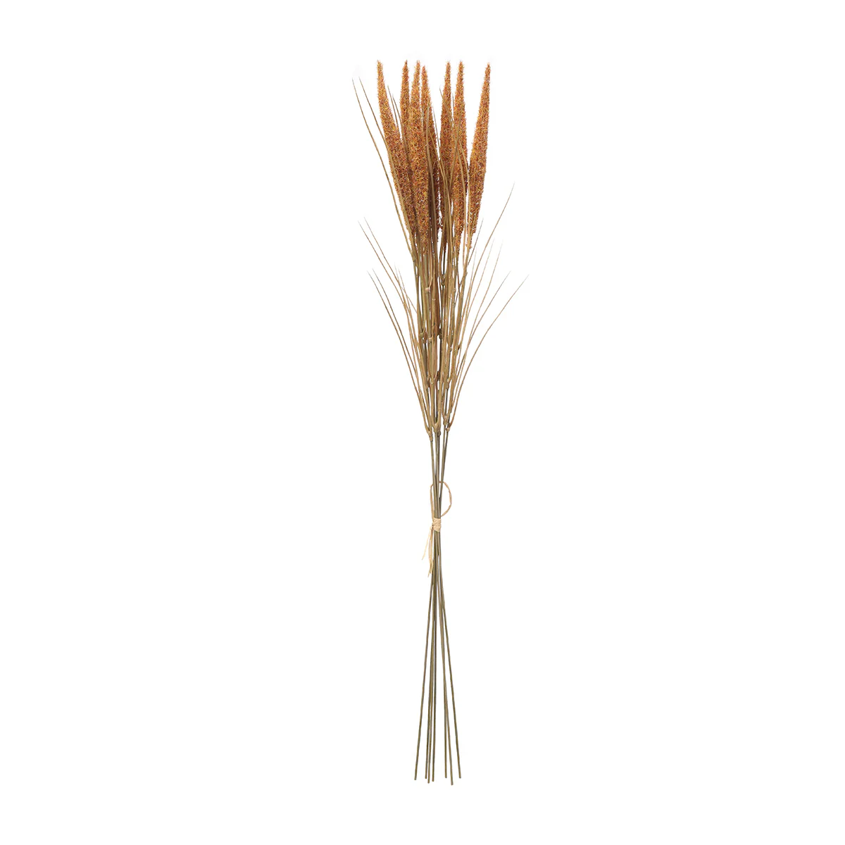 Image du produit 17