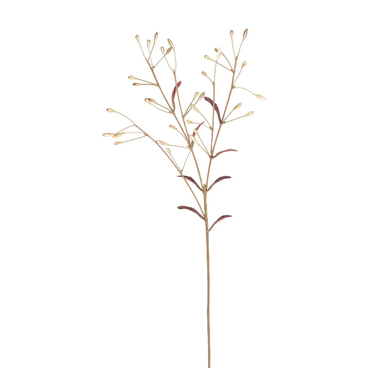 Miniature 1
