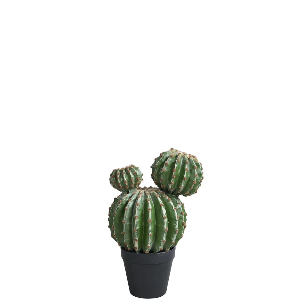 Miniature 1