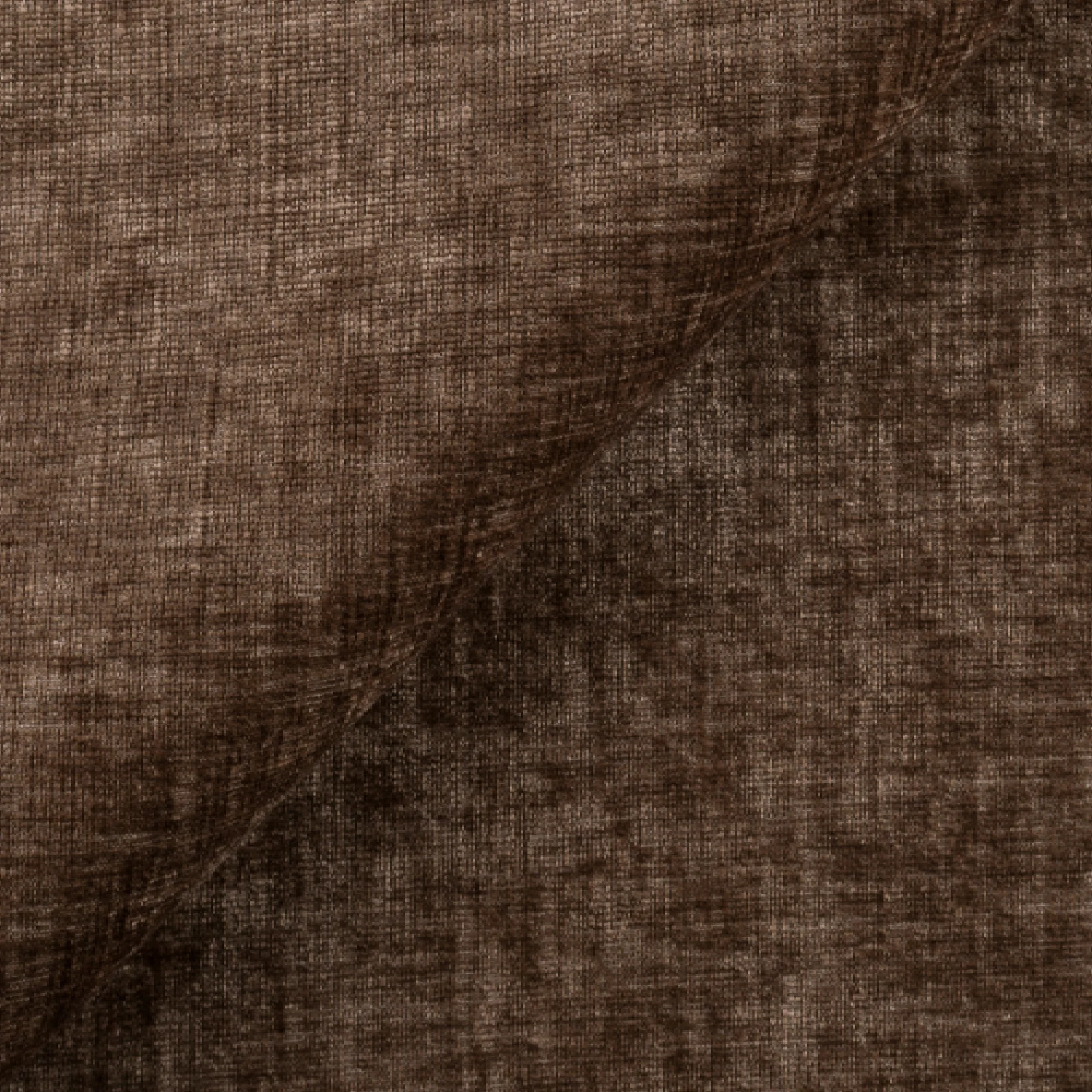 Image du produit 31