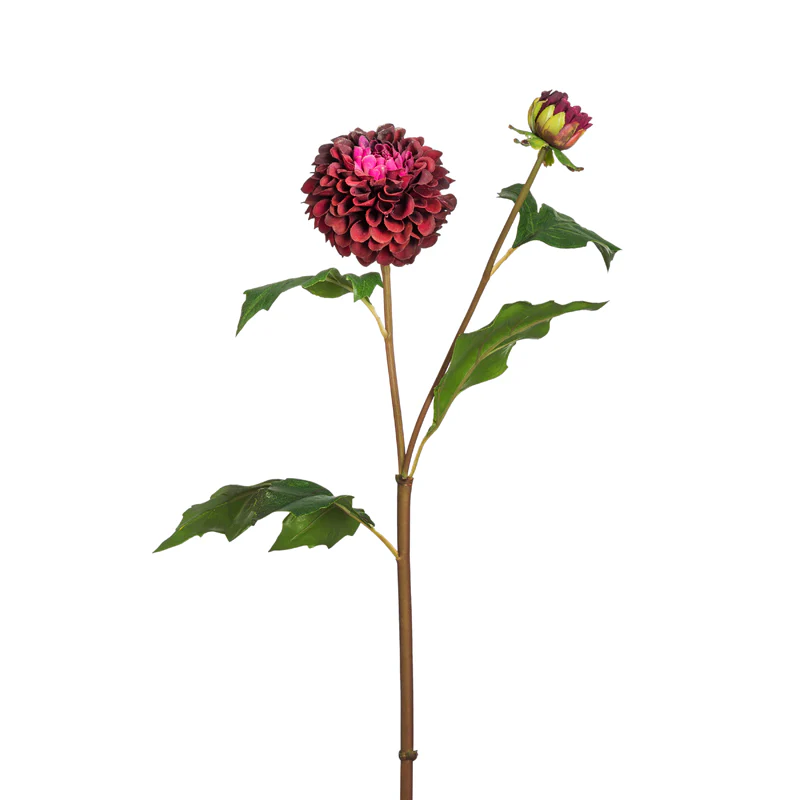 Miniature 1