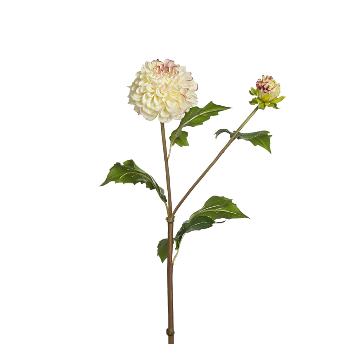 Miniature 2