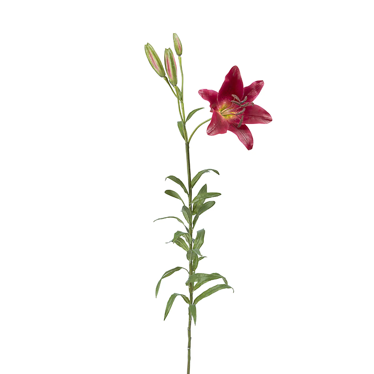 Miniature 1