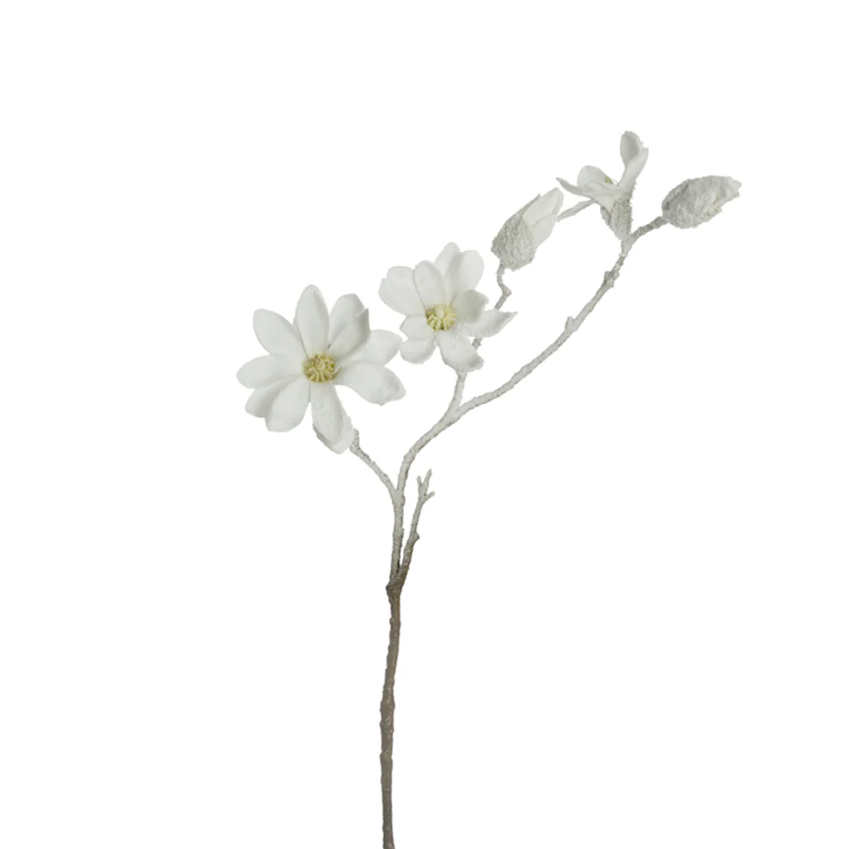 Miniature 1