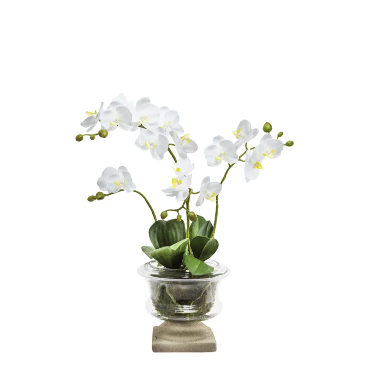 Miniature 1