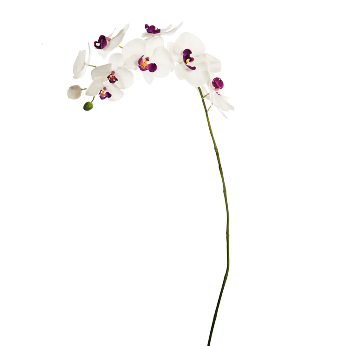 Miniature 1