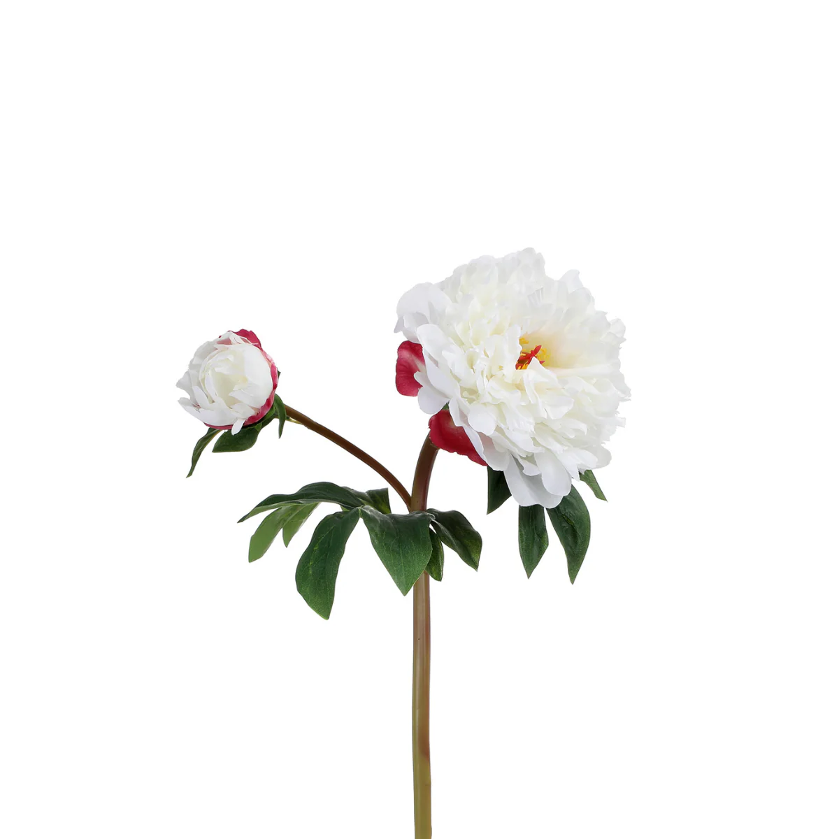 Miniature 1