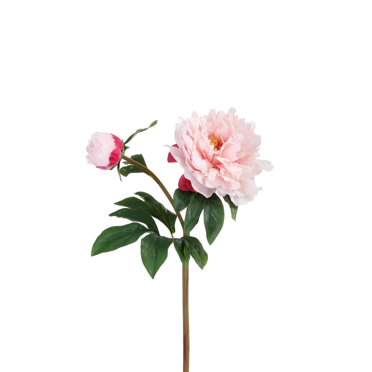 Image du produit 13