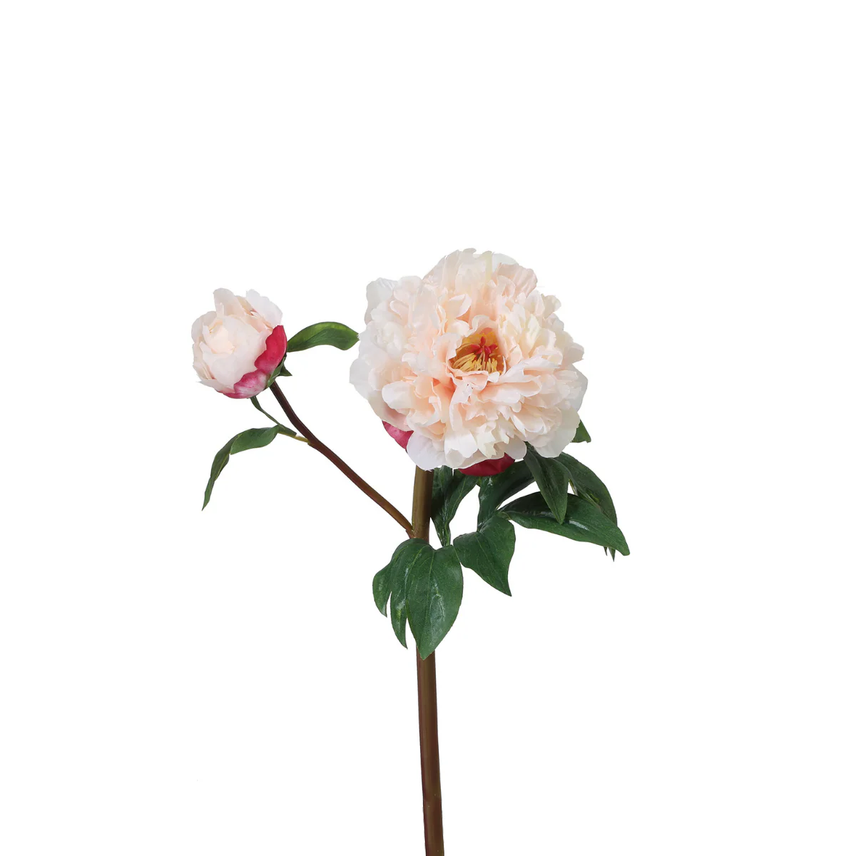 Image du produit 16