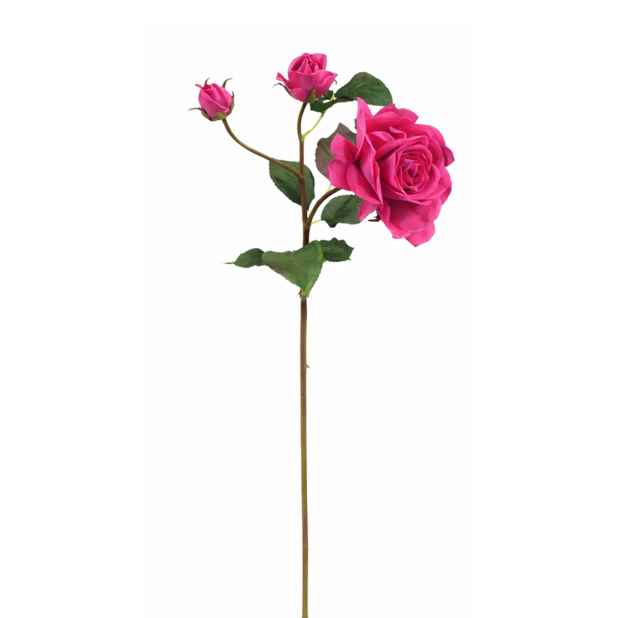 Miniature 1