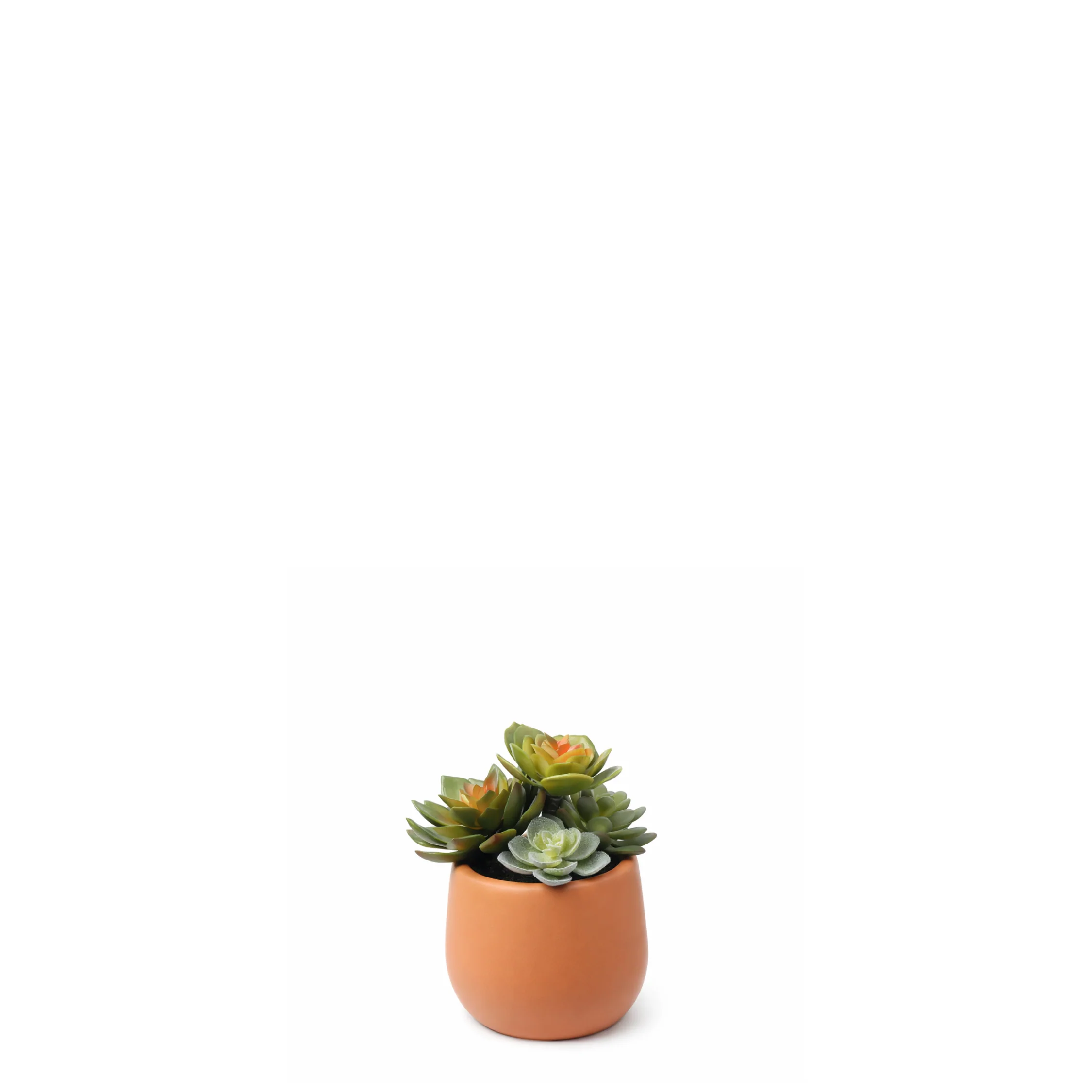 Miniature 1