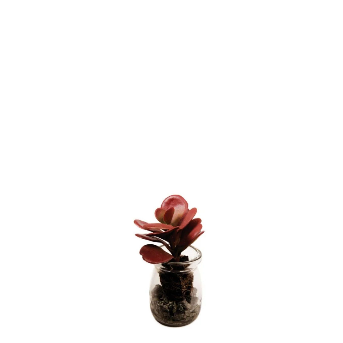 Miniature 1