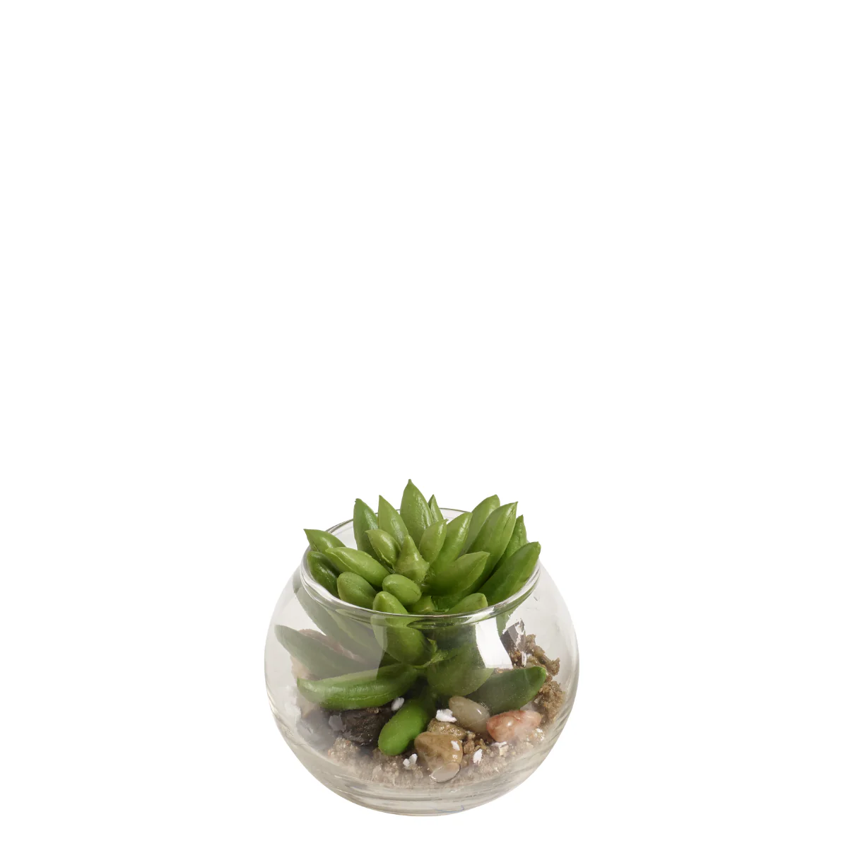 Miniature 1