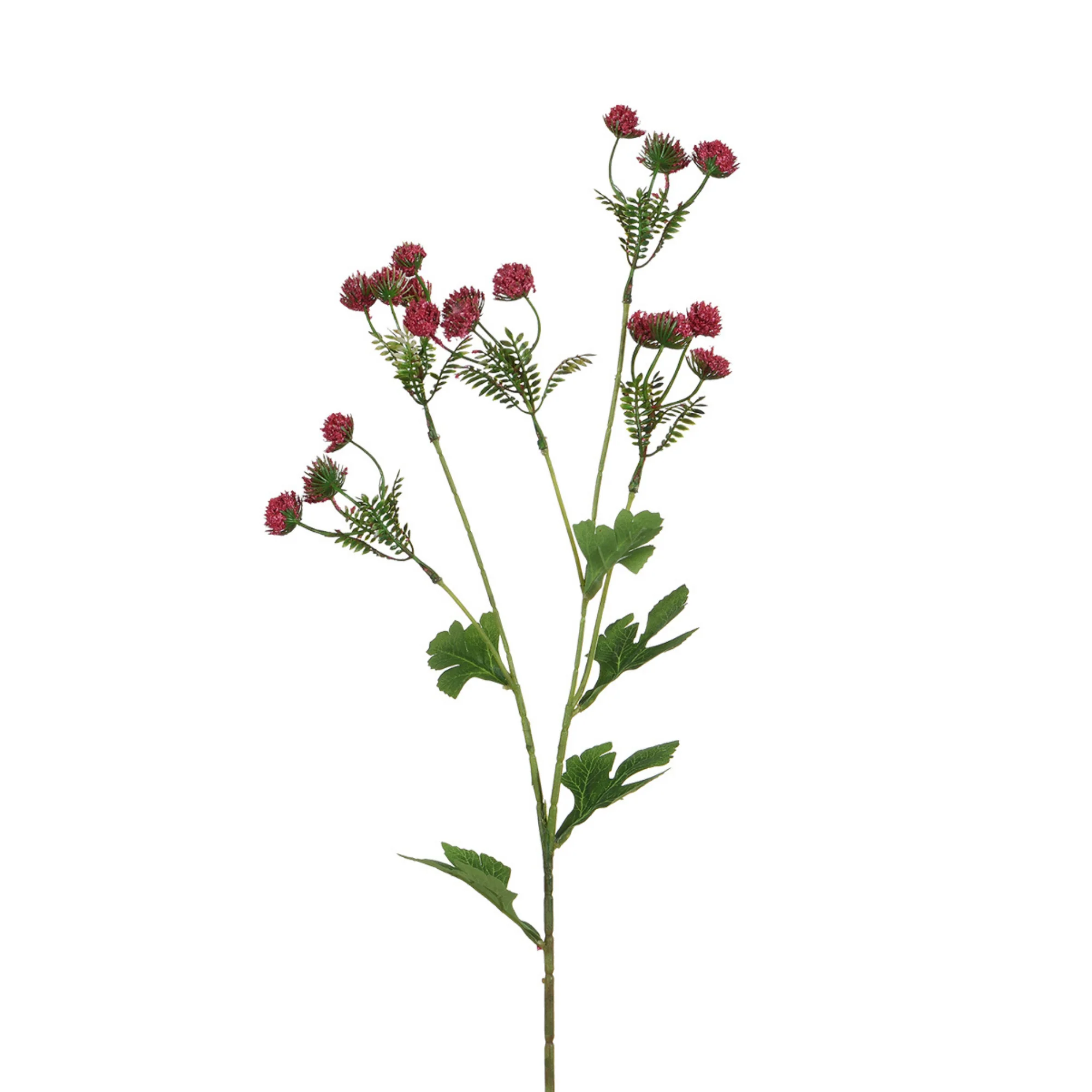 Image du produit 13