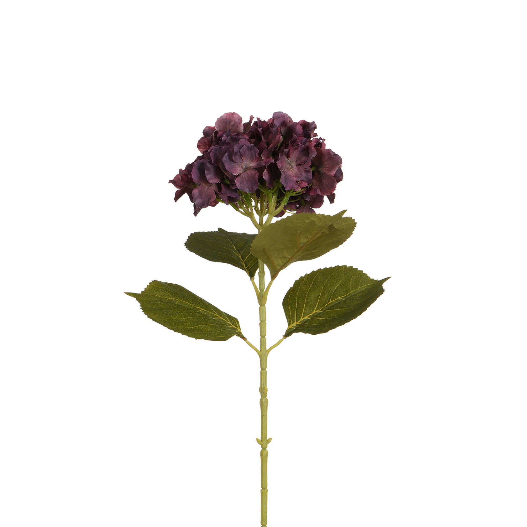 Image du produit 11