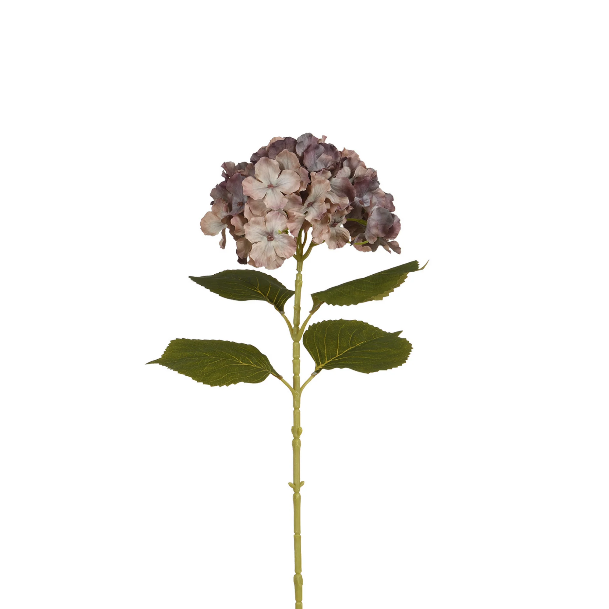 Image du produit 14