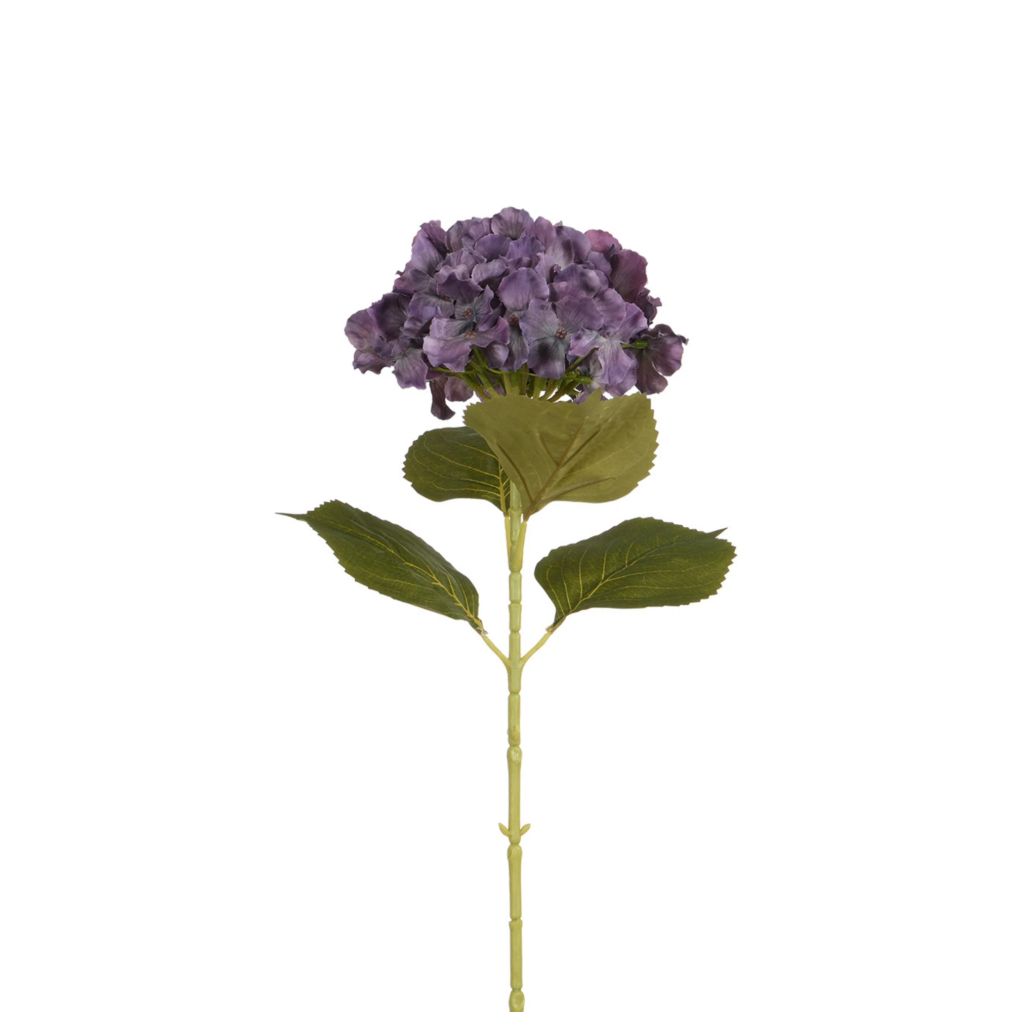 Image du produit 17