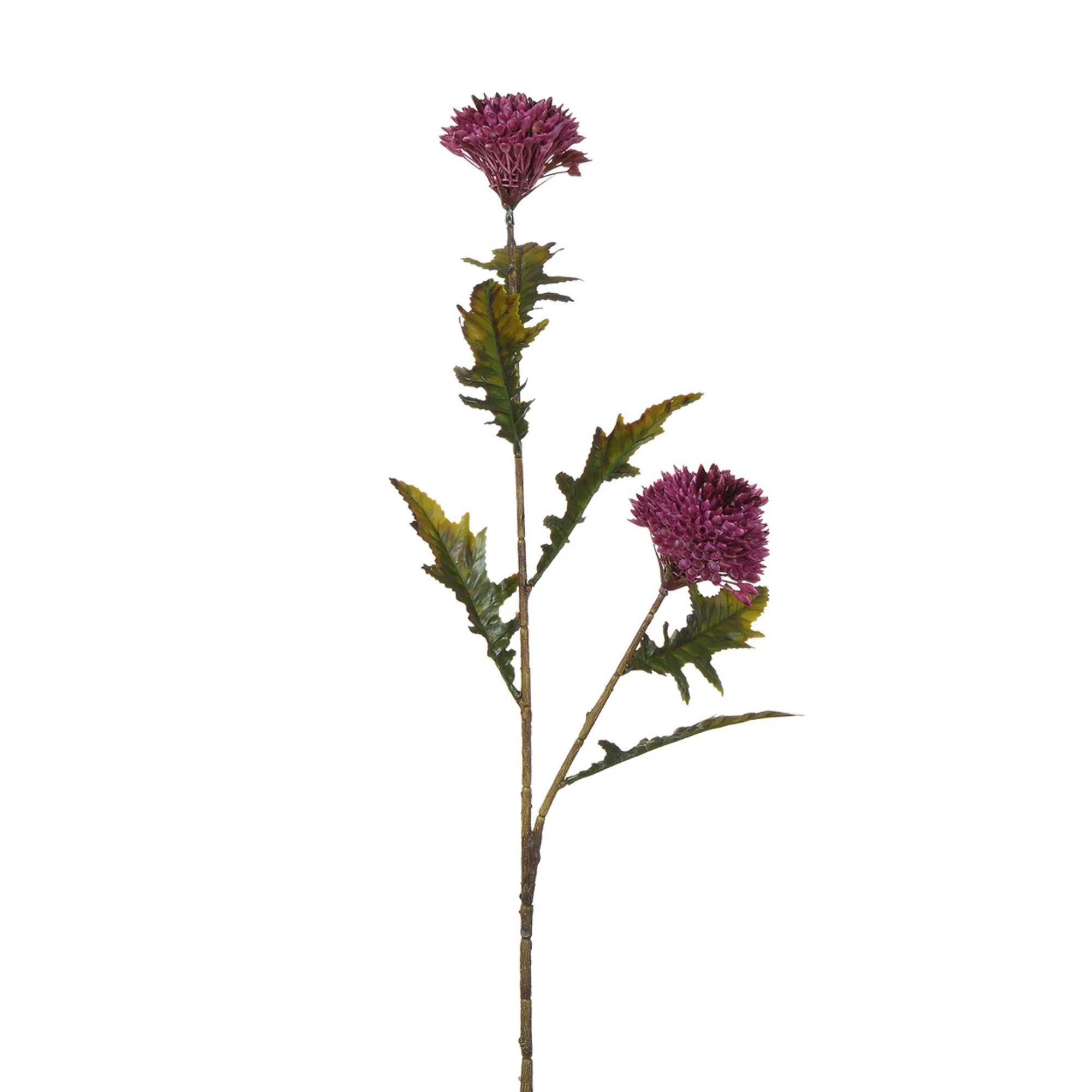 Image du produit 12