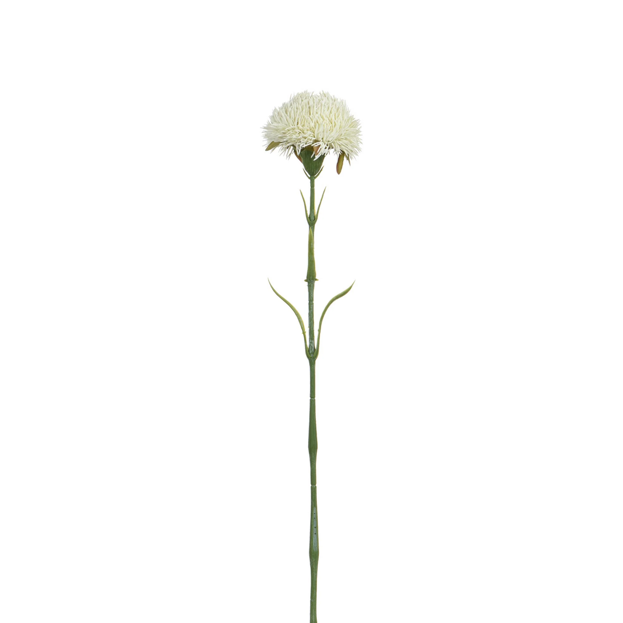 Image du produit 13