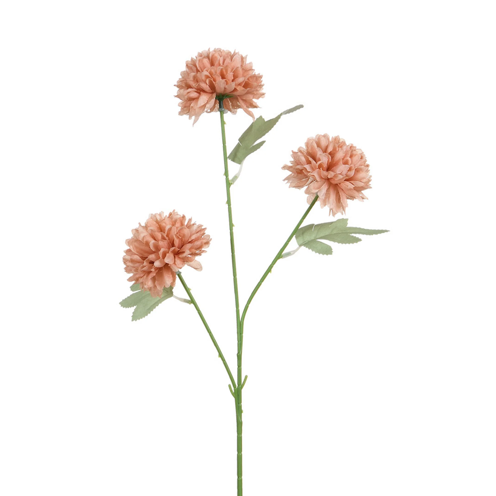 Image du produit 13