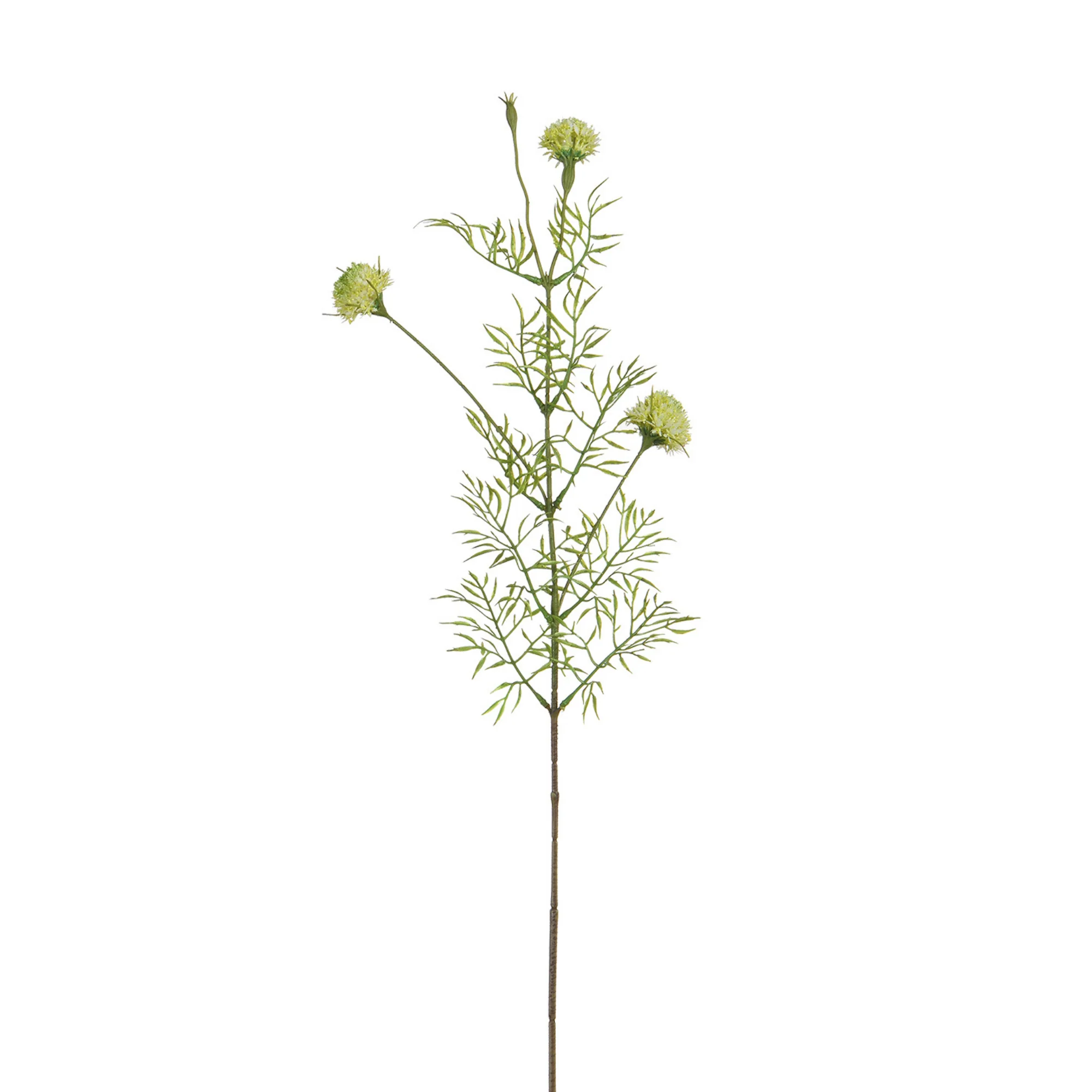 Image du produit 13