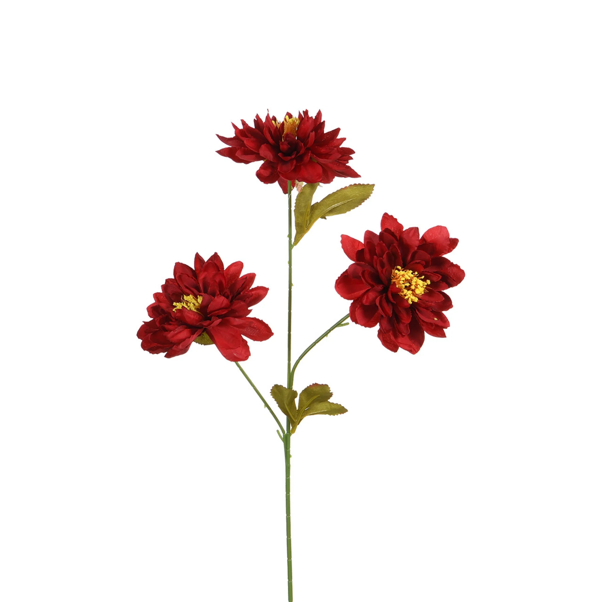 Image du produit 10