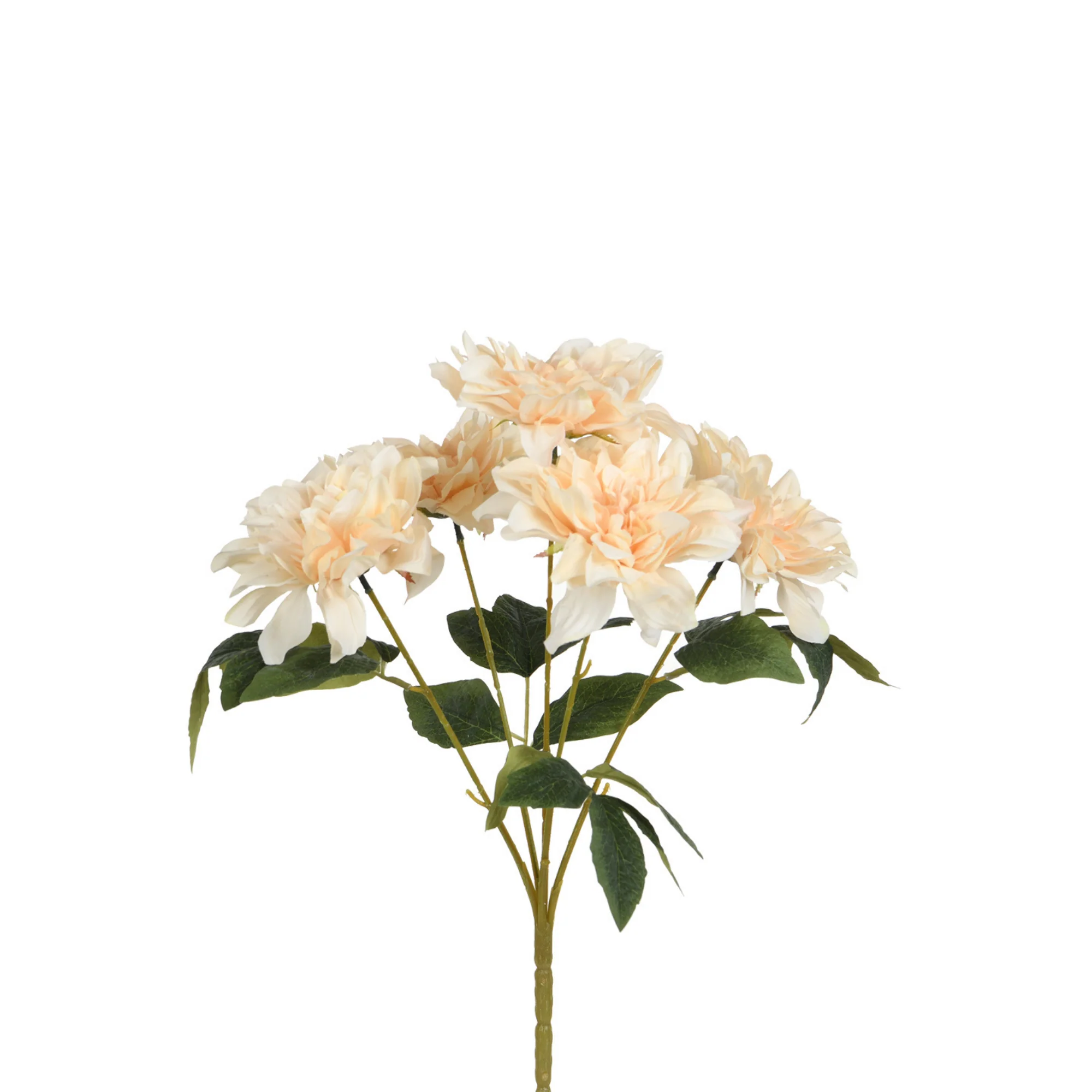 Image du produit 10