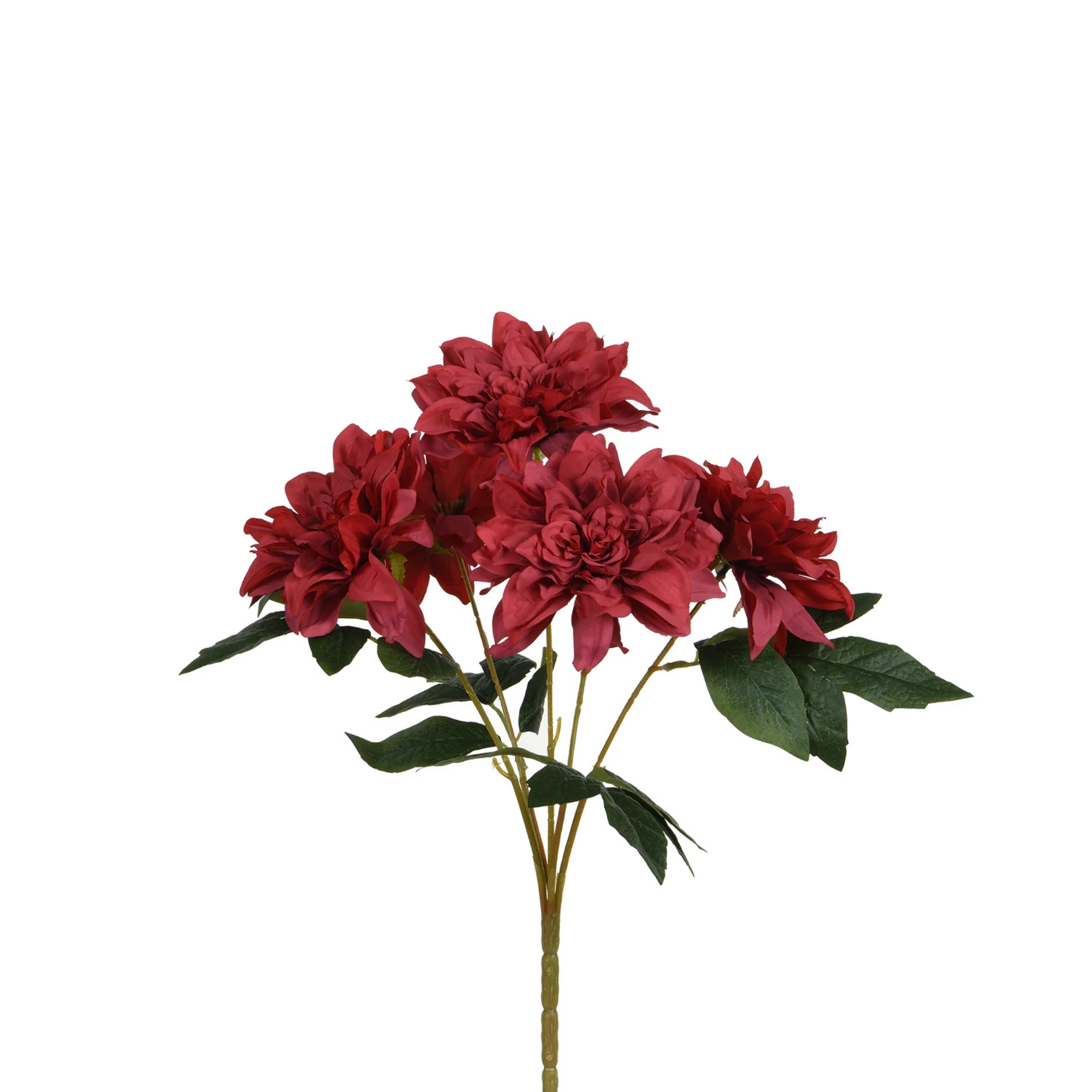 Image du produit 13