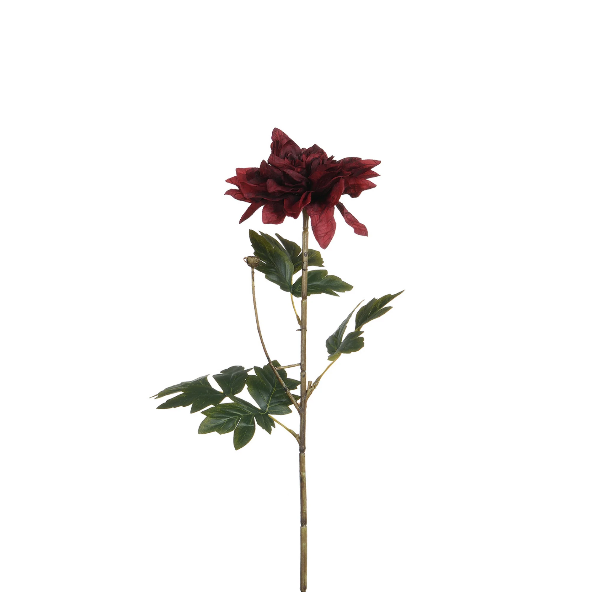 Image du produit 10