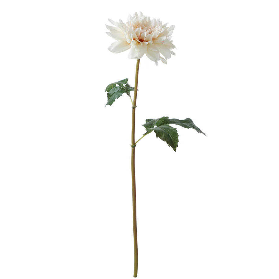 Image du produit 13