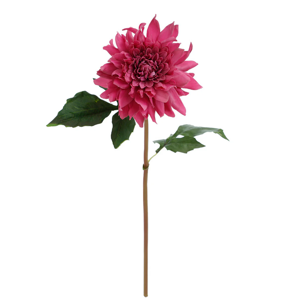 Image du produit 19