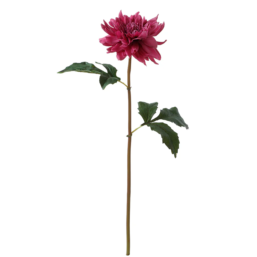 Image du produit 20