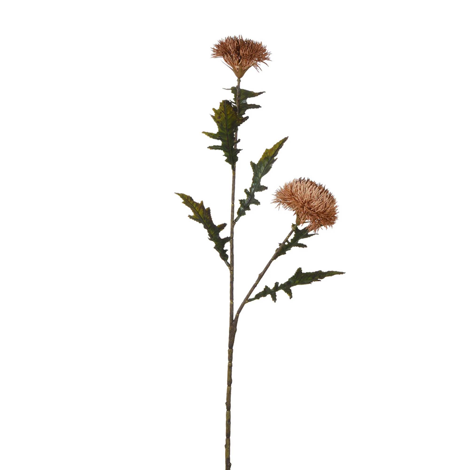 Image du produit 13