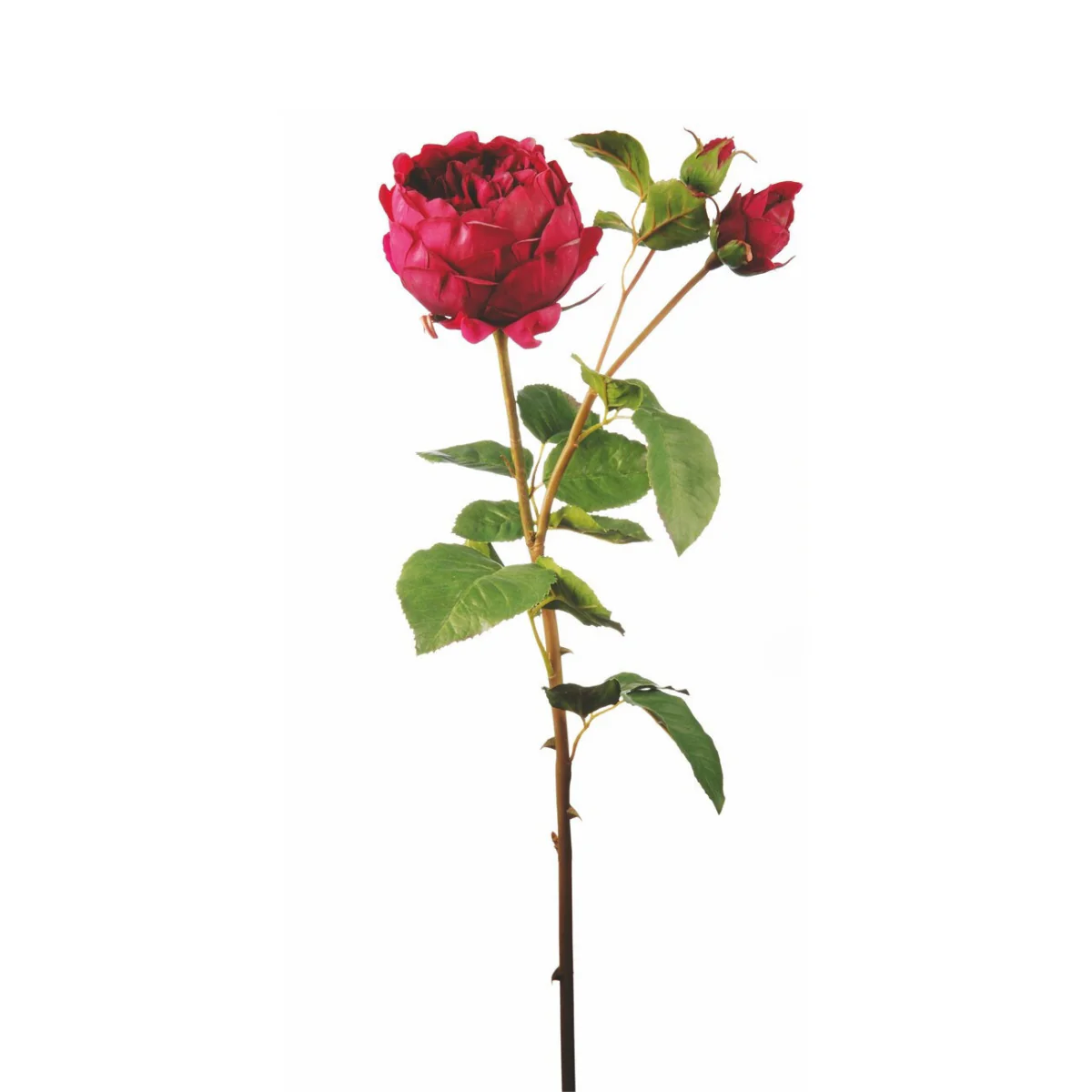 Image du produit 11