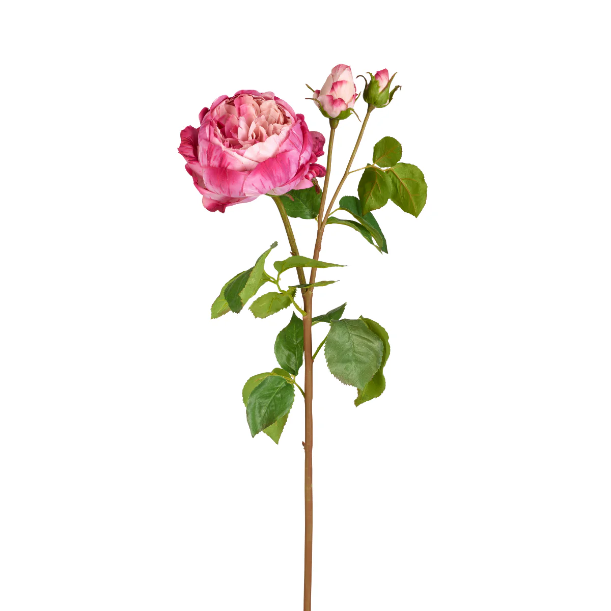 Image du produit 13