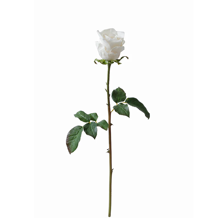 Image du produit 14