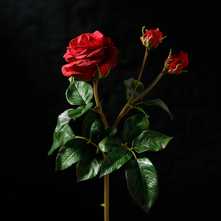 Miniature 2