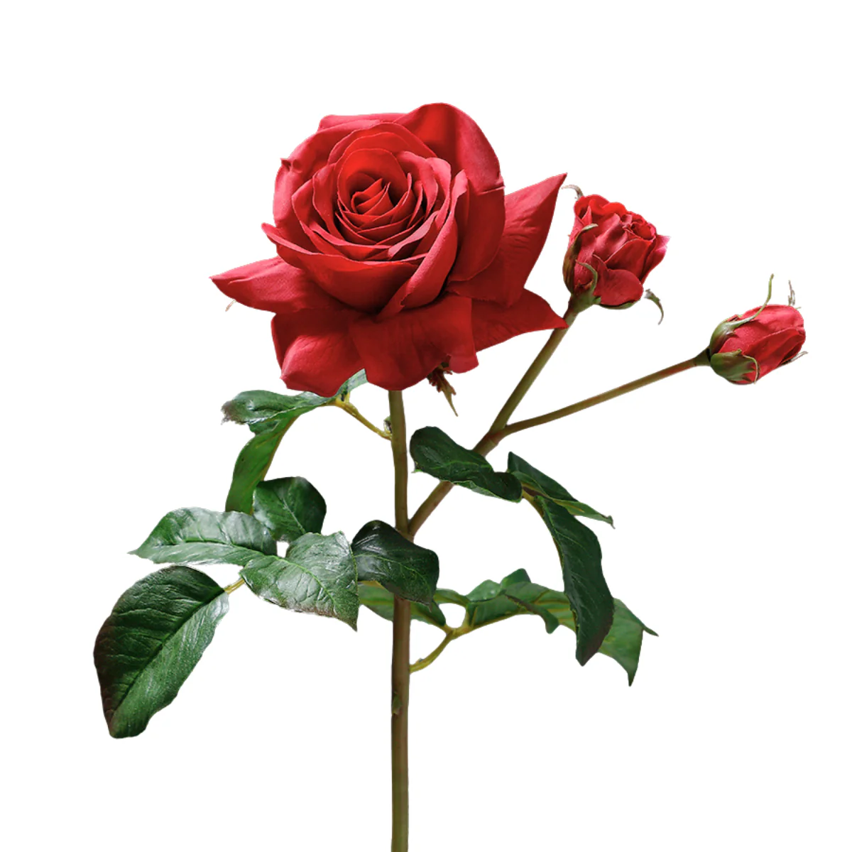 Miniature 1