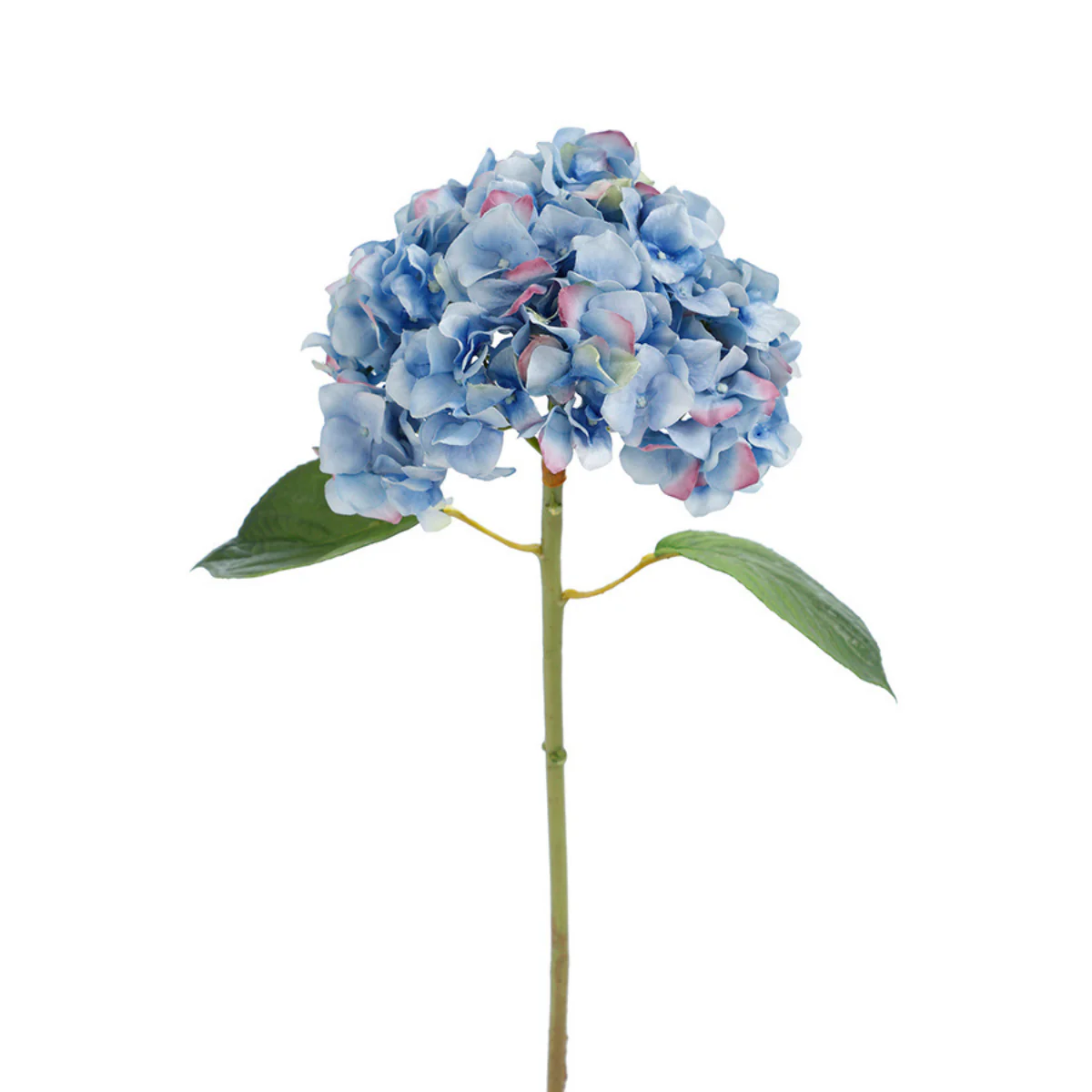 Image du produit 12