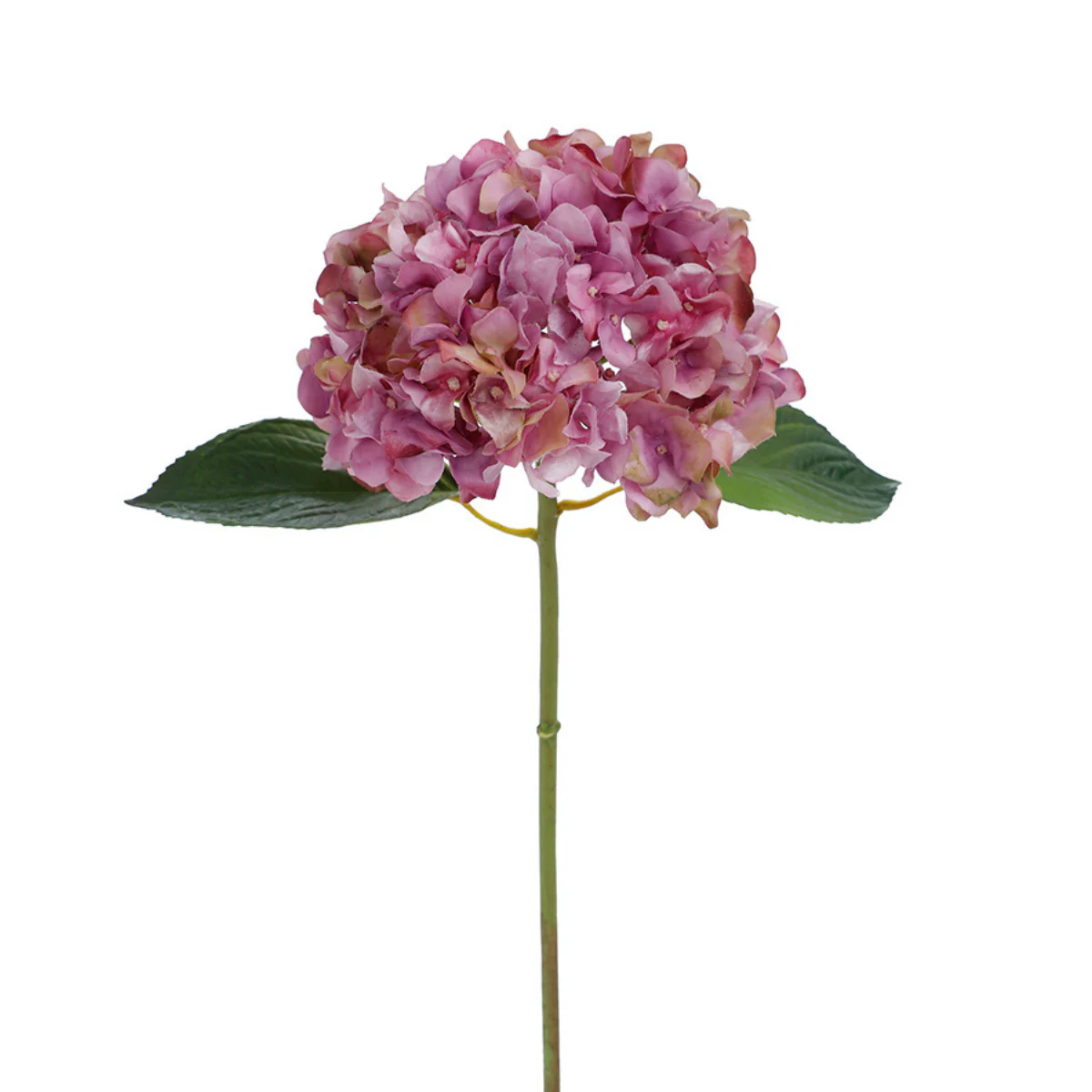 Image du produit 16